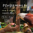 (주)프리것버드 | 쿠알라룸루프 버드파크 후기 | 아이와 꼭 가봐야할 자유비행 새공원, 먹이주기· 버드쇼 총정리