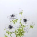 보태니컬아트 이미지