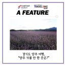 팸투어코리아 X 트래블바이크ㅣ경기도 양주 여행, “양주 가볼 만 한 곳은?”