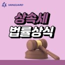 뱅가드회계법인 - 평택시 죽백7길 2-4 | 뱅가드회계법인