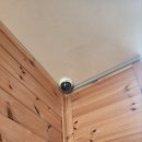 조치원읍사무소 이미지