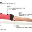 더리얼피티 이미지