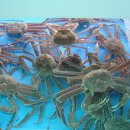 철이수산 - 구리시 딸기원로 98-13 | 철이수산