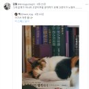 어필 이미지