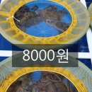 목포뻘낙지 이미지