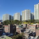 중앙동238 이미지