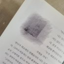 초등 추천 동화 고양이야, 미안해! 내용 후기
