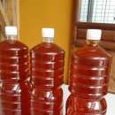 새뜸농장 이미지