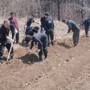 대사농장 이미지