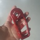 노스게러지 이미지