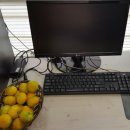 카젠신방점 이미지