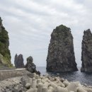 (주)대한민국여행사 이미지