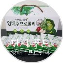 단디푸드 이미지
