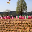 강진신발 이미지