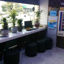 조천부부의원 이미지