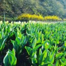 주포축산 이미지