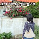 롯데 제주공항면세점 | 조이그라이슨 가방 셀리 숄더백 추천 제주공항 면세점 매장 후기