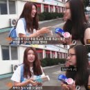 코레일유통안동역