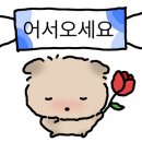 웰컴레인베이크샵