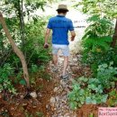 도수암계곡 이미지