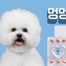 멍멍스토리 이미지