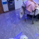 크린업24제주본부