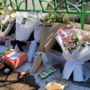 대조초등 이미지