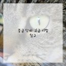 유화 중급 네이버블로그