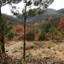 몬주익 영웅 이미지