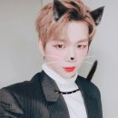 모두의 댕댕이 이미지