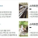 건축사사무소혜림 이미지