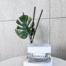 이채영피부관리 | 디어글램 유리알크림 광채 변화 후기