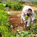 공북2리경로당 이미지