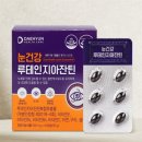 루테인몰