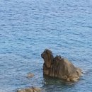 풍차언덕 이미지