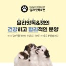 딜라잇독 앤 캣 강아지고양이 분양 시흥 이미지