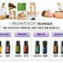 시원시원아로마 이미지