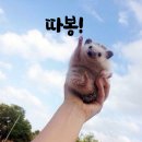 로컬AI를 왜 사용해야하는가? 이미지