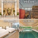 비발디투어주 | 웨스틴 서울 파르나스 호텔 수영장 조식 클럽라운지 패키지 특가 강남 호캉스 추천