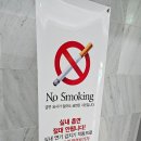 알프스비치 이미지