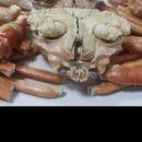 맛나는대게 네이버블로그