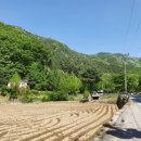 삼회리보건진료소 이미지