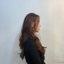 살롱드 하유