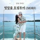 코타키나발루 멍알룸 섬 호핑투어 단독투어 후기와 꿀팁