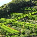 외도보타니아 이미지