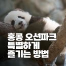 홍콩 오션파크 특별하게 즐기는 방법 총정리(2025년 최신, 입장료, 판다 등)