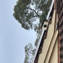 [W168]Builder Warranty가 있어도 빌딩인스펙션이 필요한 이유-Watersafe Building Inspection 이미지