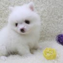 구월2동-16 이미지