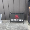 산 | 강아지랑 힐링하기 좋은 곳 부산 애견동반 찜질방 휴일도부산점 후기