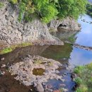 안덕면사무소 이미지